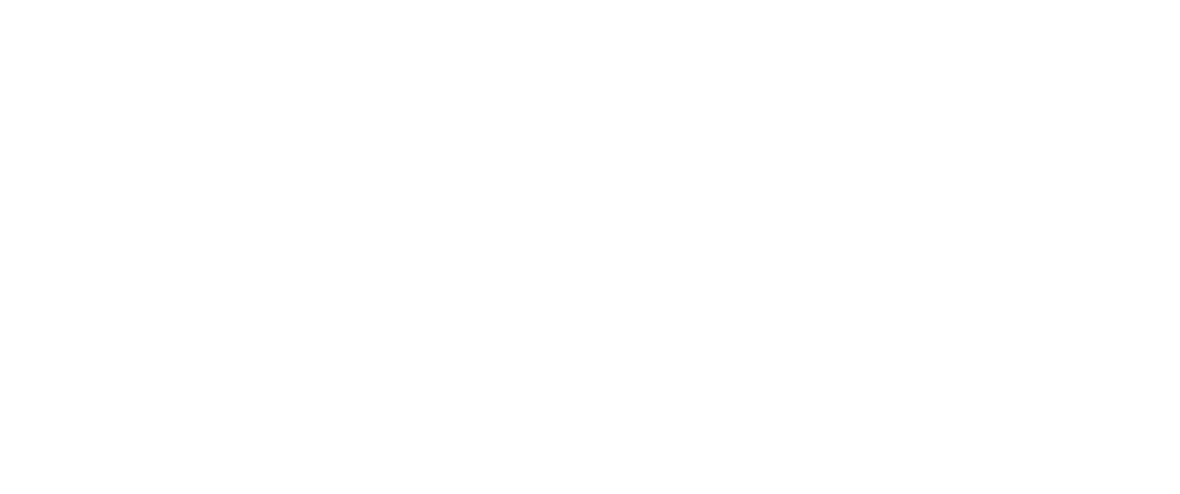 logo-light